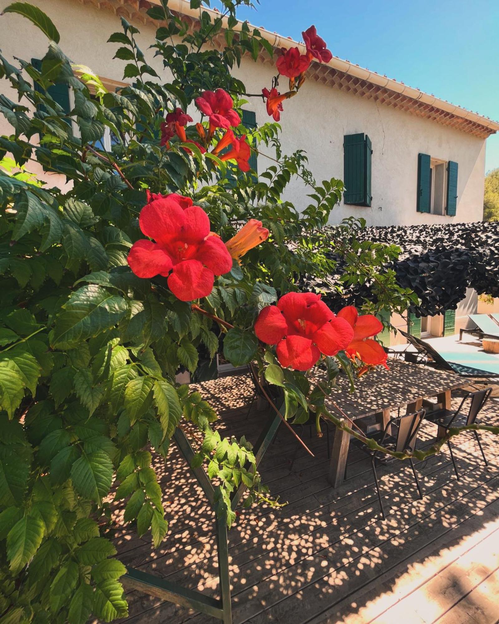Villavos- Le Bocage Cassis Exteriör bild